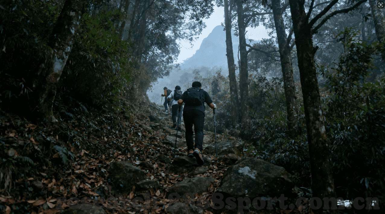 九游游戏中心在线下载-九游游戏中心，便捷的在线下载体验
